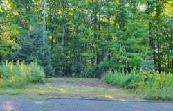 TBD Wildwood, Iron River, MI 49935