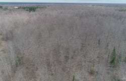 Parcel B County 433 Road, Gulliver, MI 49840