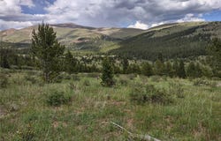0 Snow Cap Peaks Road, Alma, CO 80402