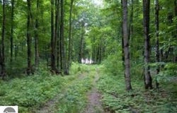 0 Cunningham Road, Kalkaska, MI 49646