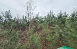 0 Old Snipe Road, Kelleys, LA 71227