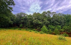 CUMBERLAND ROAD, SPRINGFIELD, WV 26763