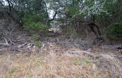 000 CR 367, Pontotoc, TX 76877