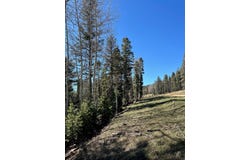 Lot 1567 Cascade Overlook, Angel Fire, NM 87710