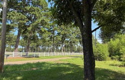 2214 Line Ferry, Texarkana, AR 71854