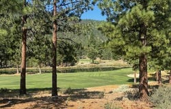 193 Redding Way unit: 257, Carson City, NV 89705