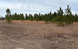 Oakridge Church Road, Tifton, GA 31794