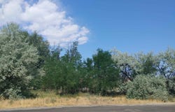 Tbd 1st And Main, Hagerman, ID 83332