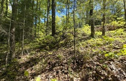 Lot 8 POMEROY LAKE RD, Marenisco, MI 49947