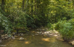 Snake Hollow Road, Sneedville, TN 37869