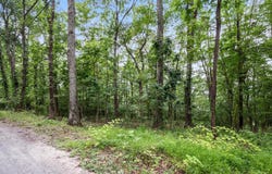 0 MOUNTAIN TOP TRAIL, HARPERS FERRY, WV 25425