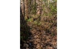 105 Round Table Trail lot: 6, Asheville, NC 28803