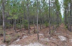 0 (lot 2) Corbitt Road, Manor, GA 31550