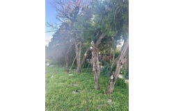 10519 Ridge Rim DR, Leander, TX 78641