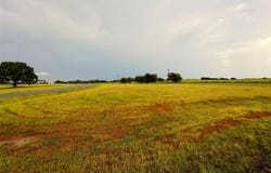 794 Pasadera Circle, Gordonville, TX 76245