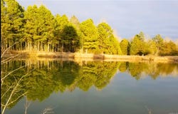 6413 Hwy 124, Quitman, AR 72131