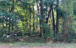 BAY POINTE DRIVE, MONTROSS, VA 22520