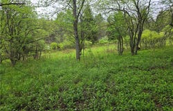 Mead Hollow Road, Bolivar, NY 14754