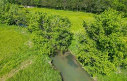 34728 US Hwy 11, Valley Head, AL 35989