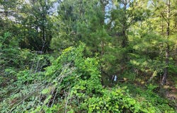 297 White Oak Lane, Lufkin, TX 75904