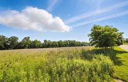 Miller Parkway, Mansfield, OH 44903