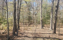 TOWER Road, BRANDYWINE, MD 20613