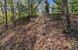 N SILVER RIDGE ROAD, MEARS, MI 49436