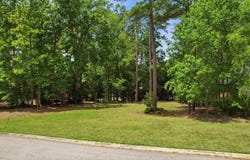 105 Oak Trace Court, Chapin, SC 29036