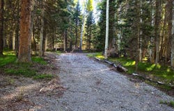 505 Wildflower Drive, Cimarron, CO 81220
