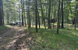 9572 S Oxeye Avenue, Baldwin, MI 49304