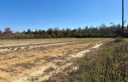 2.5 Acres GarrettRoad, Ashford, AL 36312
