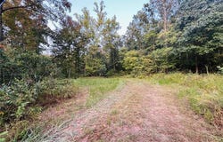 0 Highway V, Redford, MO 63665