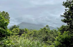 975 CEIBA , BO RIO ABAJO, CEIBA, 00735