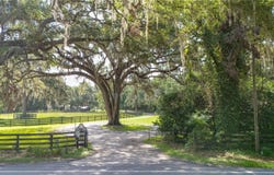 4245 NW 110TH AVENUE, OCALA, FL 34482