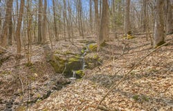 L9.113 Lutheranville Rd, Summit, NY 12175