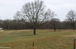 5899 Crawford Road, Hernando, MS 38632