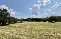 632 Andrew Circle, Roundhill, KY 42275