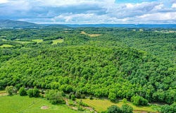 4662 Cedar Springs Rd, Rural Retreat, VA 24368