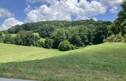 Harmon Rd, New Tazewell, TN 37825