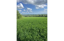 Rush Creek, STOCKTON, IL 61085