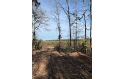 01 A Pittman Rd, Sandy Hook, MS 39478