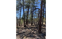 Tbd Doe Run, Los Ojos, NM 87520