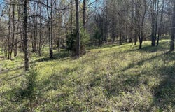 0 Camargo Rd, Nettleton, MS 38858