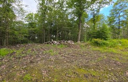 0WP Owego Hill Rd, Harford, NY 13803