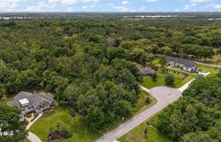 7077 NORNE LANE, MOUNT DORA, FL 32757