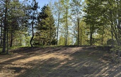 1007 E Solaris Way, Maple City, MI 49664