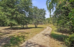 408 County Road 4248, Pittsburg, TX 75686