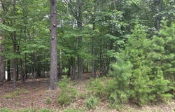 85 LAGUNA RD, Palmyra, VA 22963