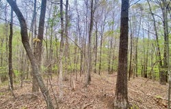 Rothwood Road, Monroe, VA 24574