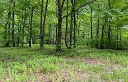 903 W Wadi Road W, Pocono Lake, PA 18347